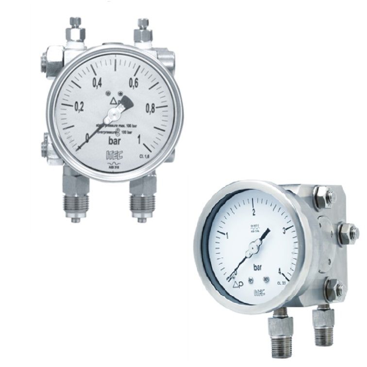 Differential pressure gauge